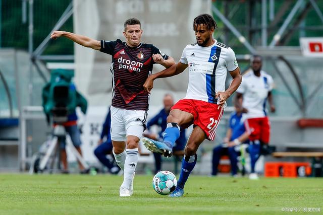 俯瞰雪山与 俯瞰雪山与