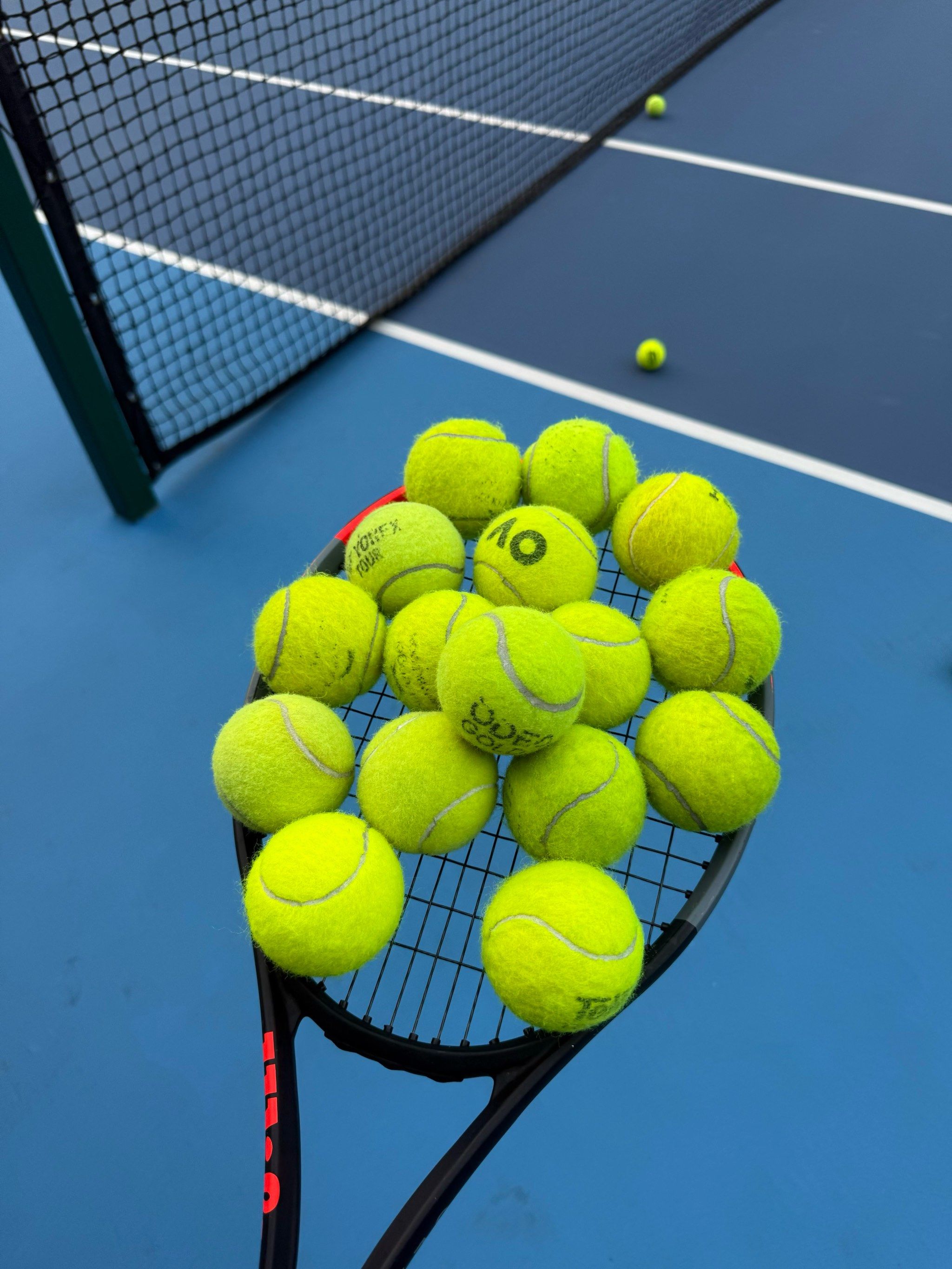 不鸣则已一 不鸣则已一